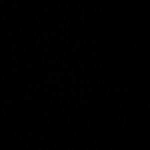 Meet your Posher, Gabrielle